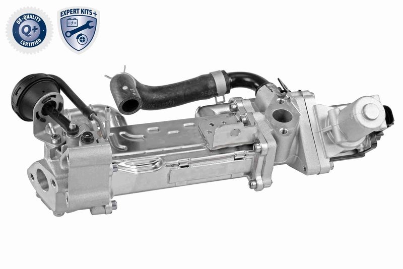 ACKOJA Cooler, exhaust gas recirculation EXPERT KITS +