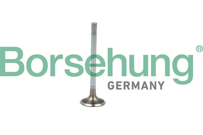 Borsehung Intake Valve