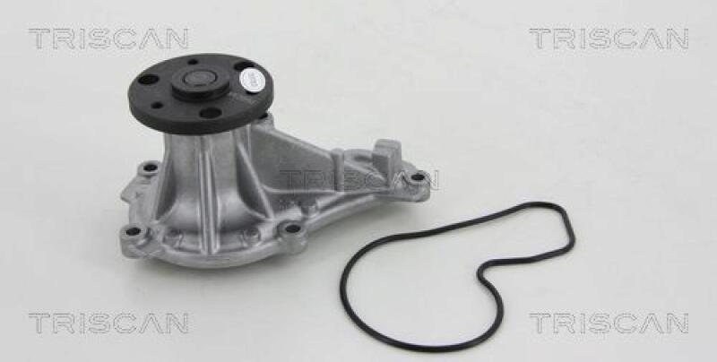 TRISCAN Wasserpumpe 8600 40014