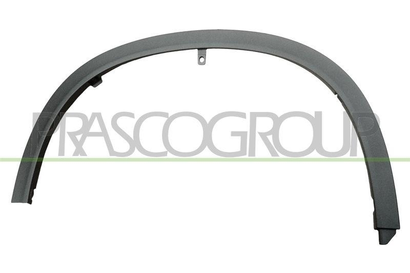 PRASCO Zier-/Schutzleiste, Kotflügel