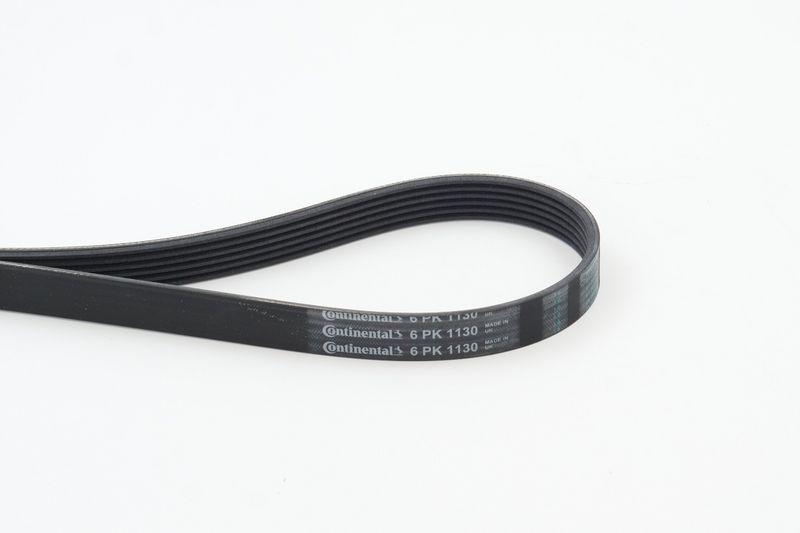 CONTINENTAL CTAM V-Ribbed Belt