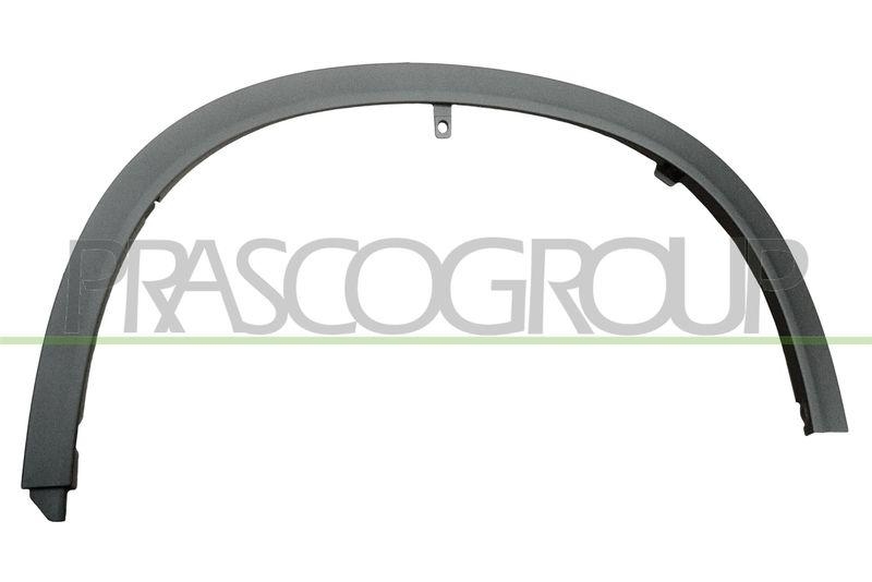 PRASCO Zier-/Schutzleiste, Kotflügel