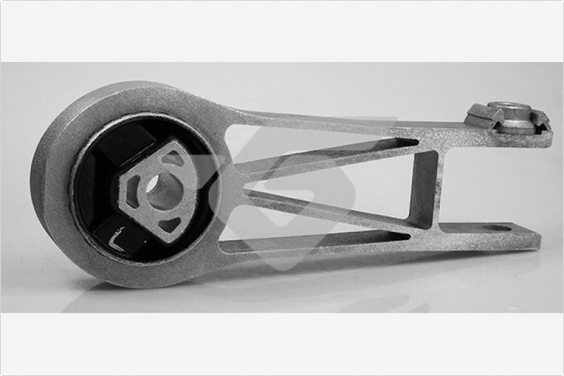 HUTCHINSON Holder, engine mounting system