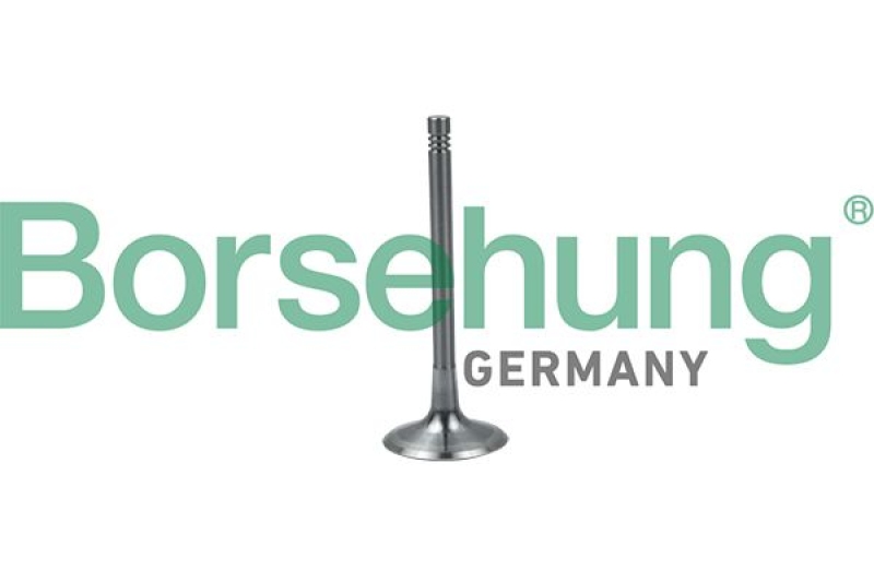 Borsehung Intake Valve