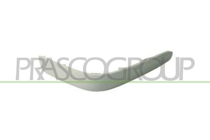 Trim/Protective Strip, bumper