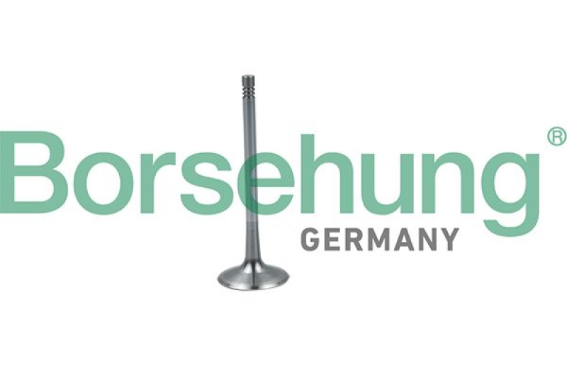 Borsehung Intake Valve