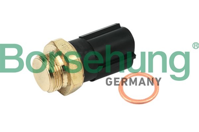 Borsehung Temperature Switch, radiator fan