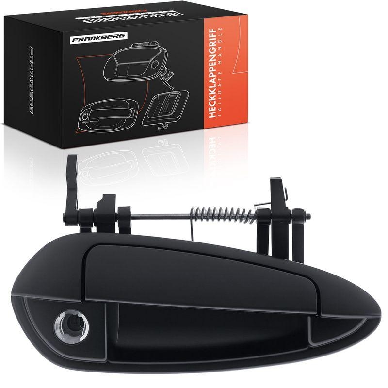 1x Frankberg T&uuml;rgriff Vorne Rechts au&szlig;en 5481FB0045538