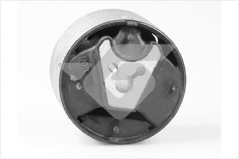 HUTCHINSON Holder, engine mounting system