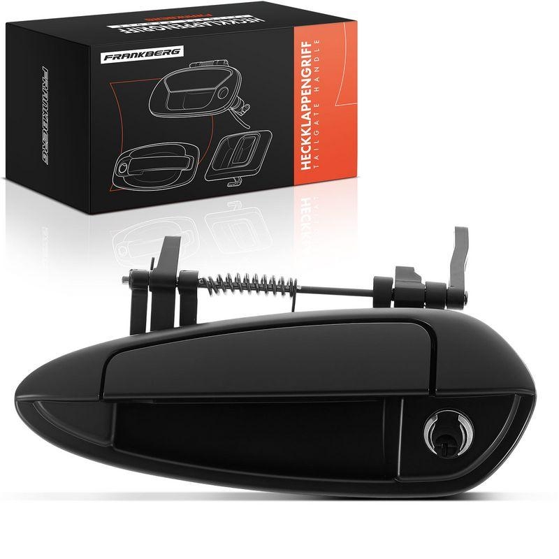 1x Frankberg T&uuml;rgriff Vorne Links au&szlig;en 5481FB0045539