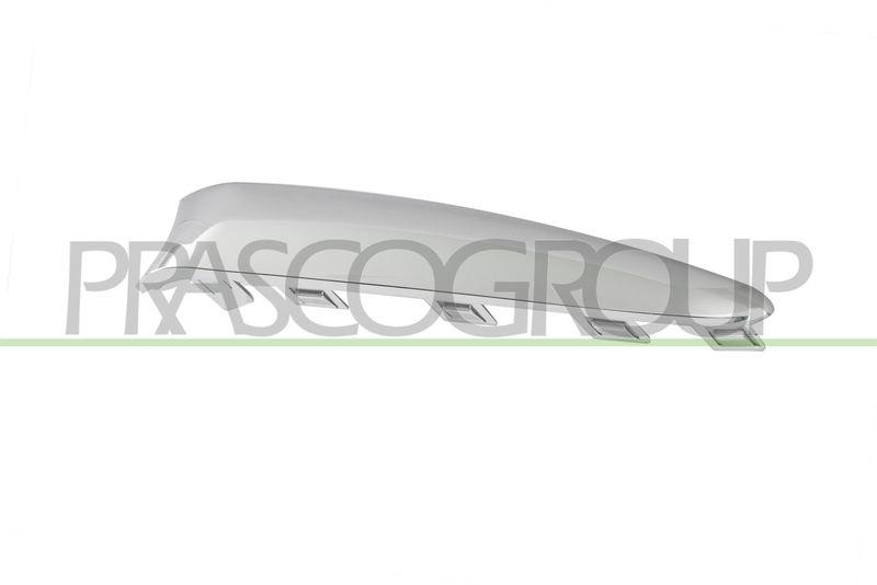 PRASCO Zier-/Schutzleiste, Sto&szlig;f&auml;nger FT0321244