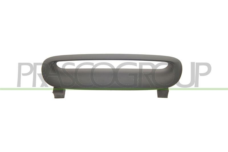 Trim/Protective Strip, radiator grille