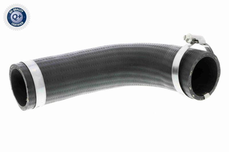 VAICO Charger Air Hose Q+, original equipment manufacturer quality
