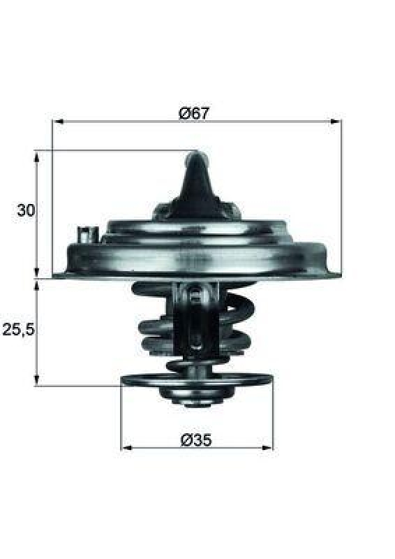 MAHLE Thermostat, coolant