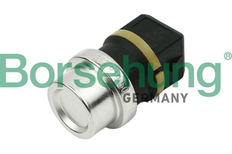 Borsehung Sensor, Kühlmitteltemperatur