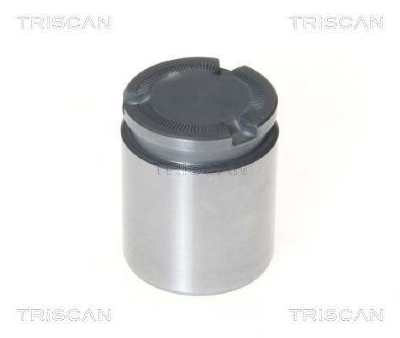 TRISCAN Piston, brake caliper