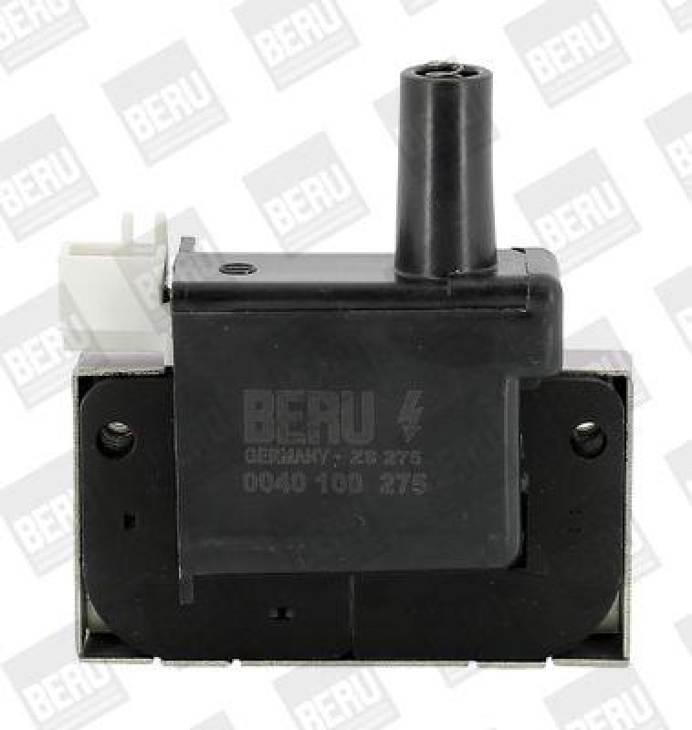 BorgWarner (BERU) Ignition Coil