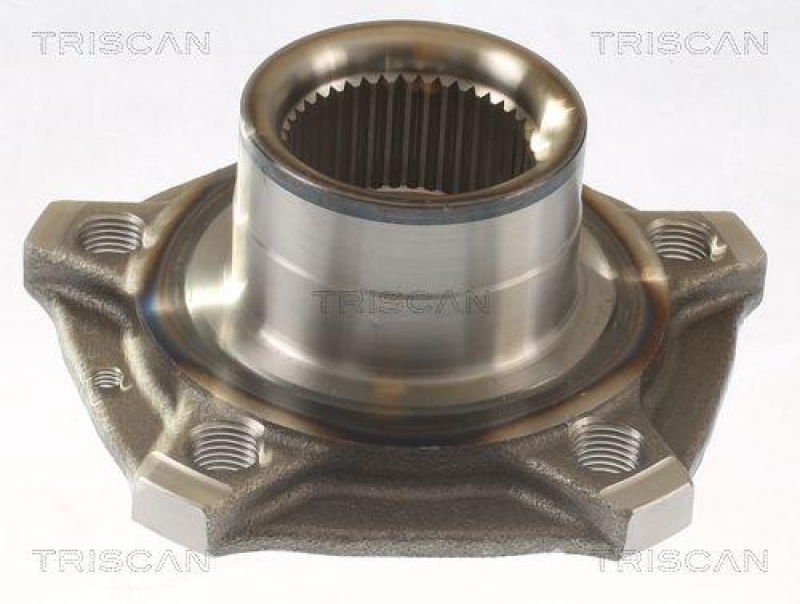 TRISCAN Wheel Hub