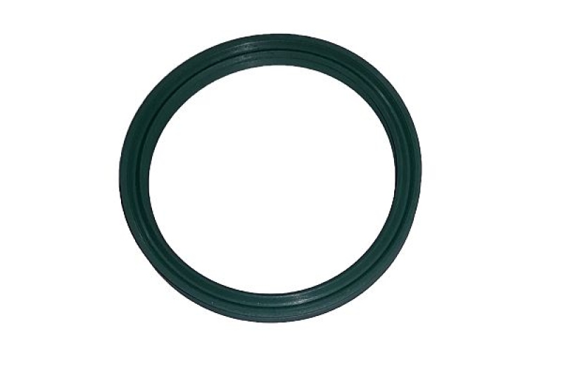 BUGIAD Seal Ring, charge air hose