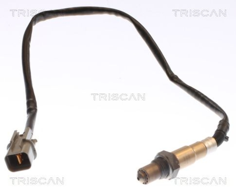 TRISCAN Lambdasonde