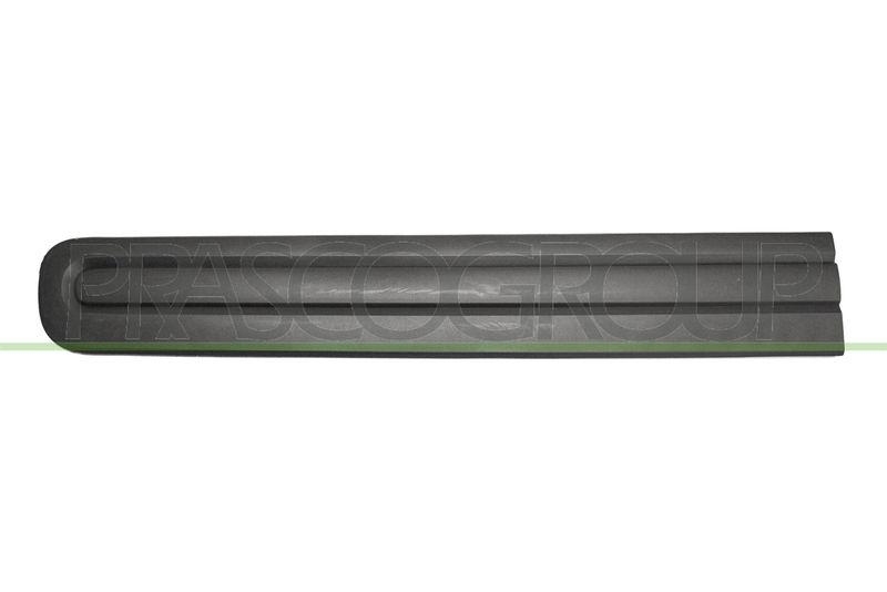 Trim/Protective Strip, door