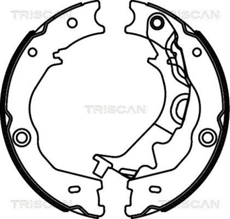 TRISCAN Brake Shoe Set, parking brake