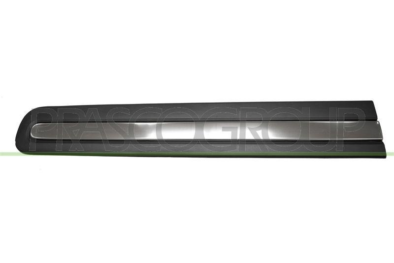 Trim/Protective Strip, door
