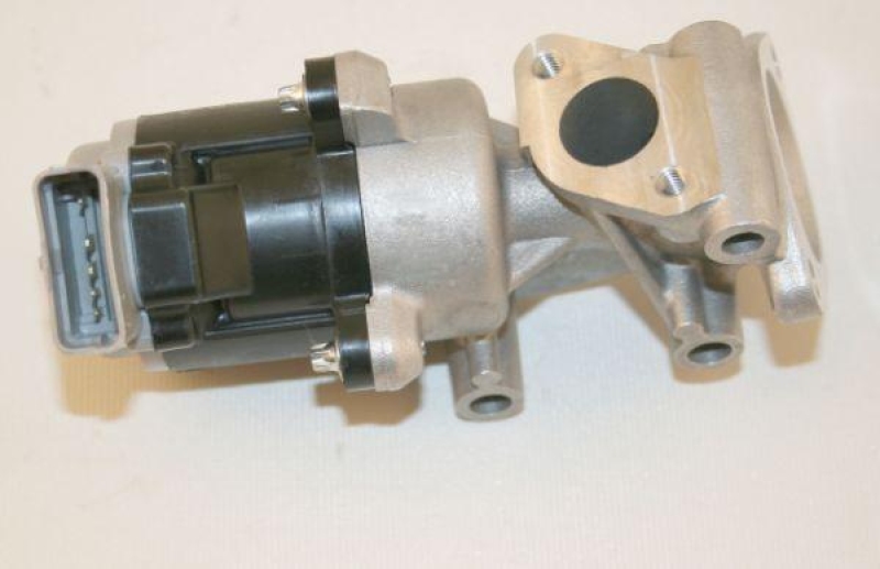 AUTEX AGR-Ventil