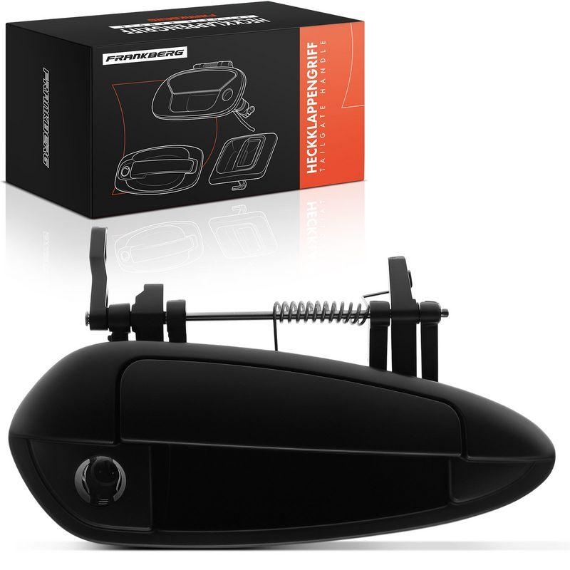 1x Frankberg T&uuml;rgriff Vorne Rechts au&szlig;en 5481FB0045550