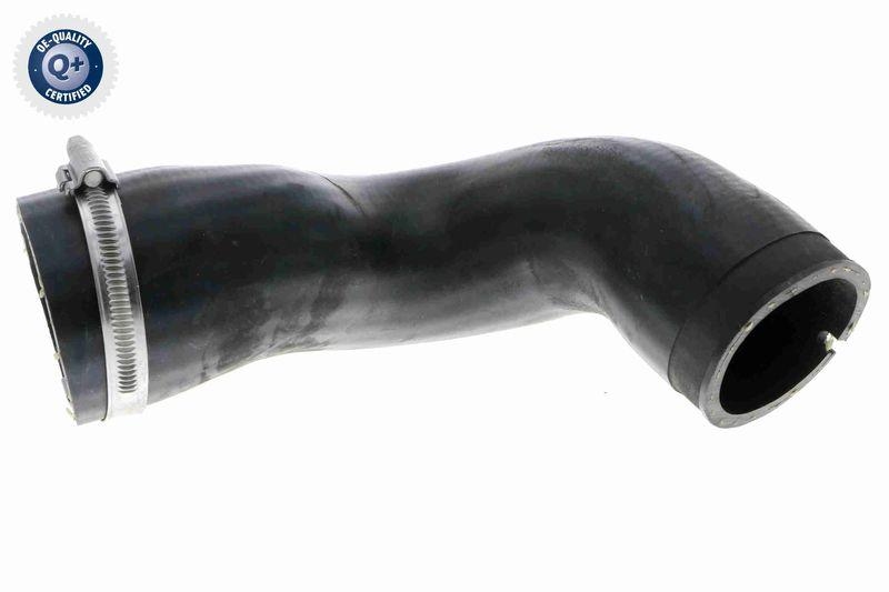 VAICO Charger Air Hose Q+, original equipment manufacturer quality