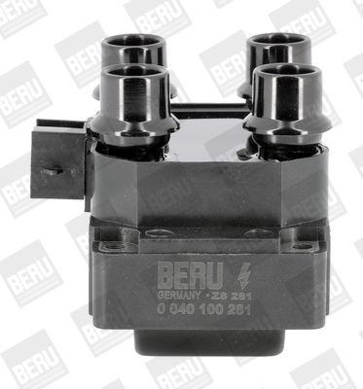 BorgWarner (BERU) Ignition Coil