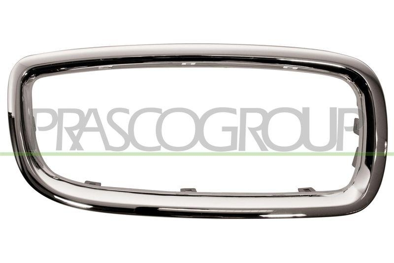 Frame, radiator grille