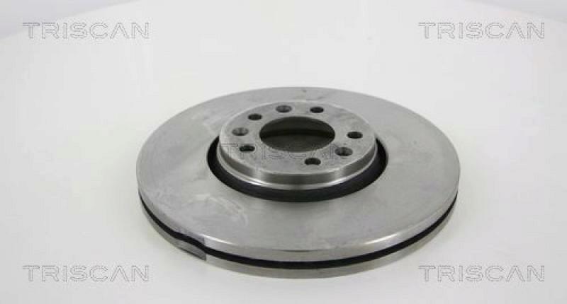 2x TRISCAN Brake Disc