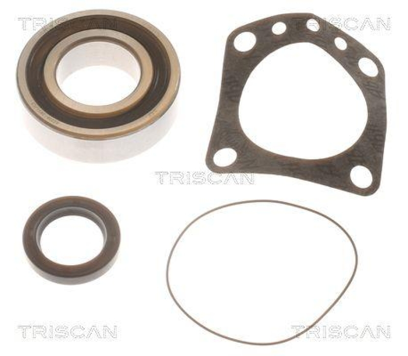 TRISCAN Wheel Bearing Kit