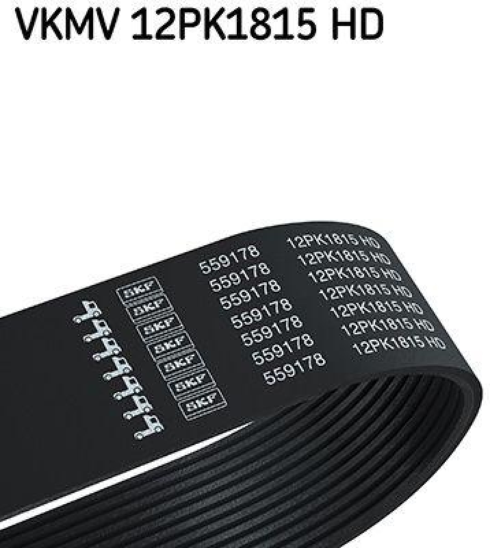 SKF Keilrippenriemen