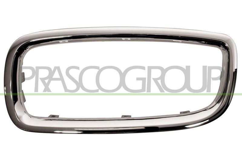 Frame, radiator grille