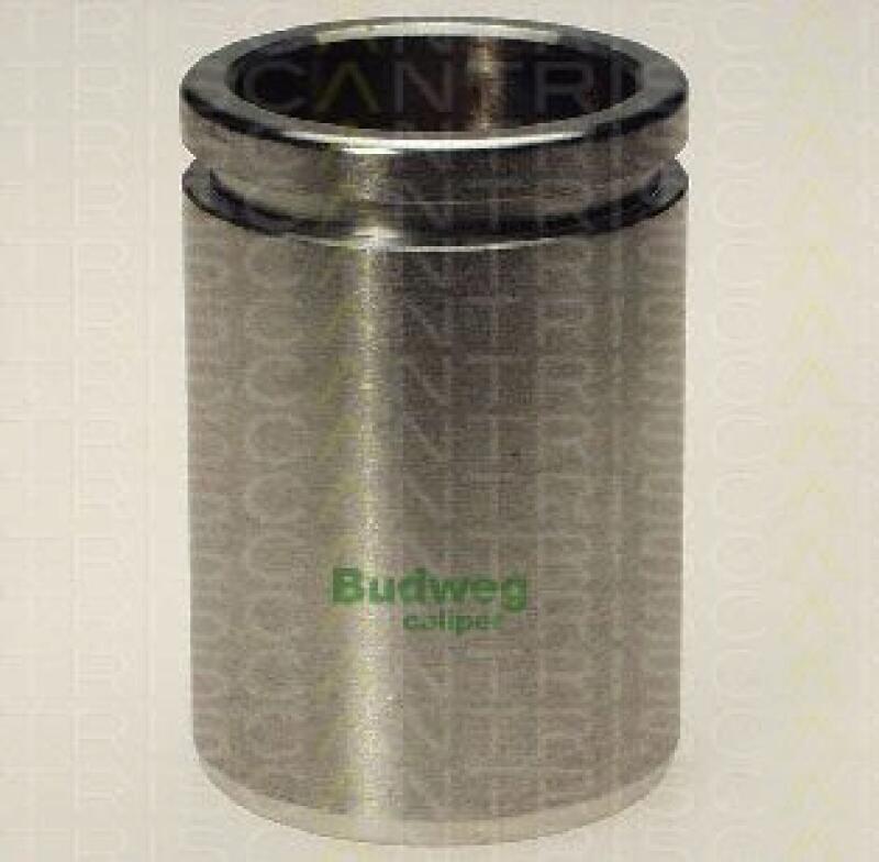 TRISCAN Piston, brake caliper