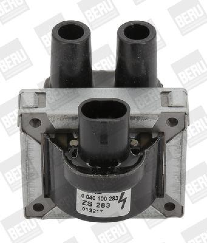 BorgWarner (BERU) Ignition Coil