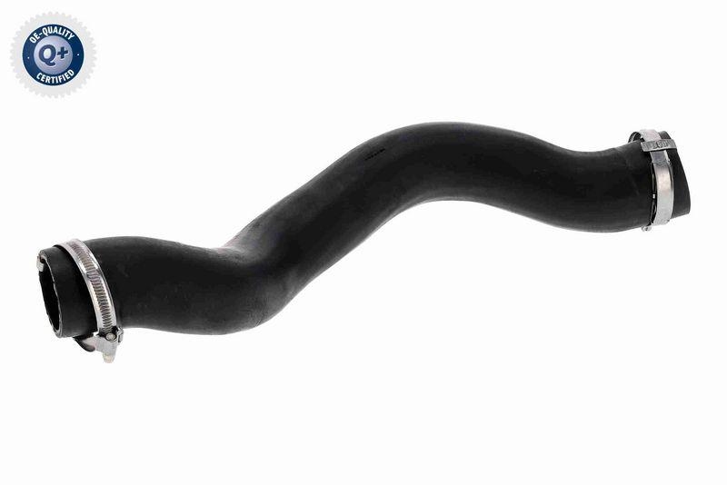 VAICO Ladeluftschlauch Q+, Erstausr&uuml;sterqualit&auml;t