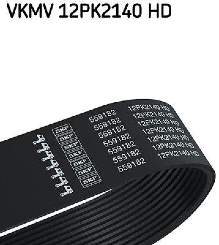 SKF Keilrippenriemen