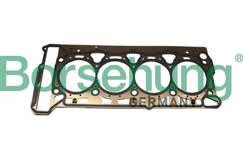 Borsehung Gasket, cylinder head