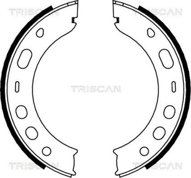 TRISCAN Brake Shoe Set, parking brake