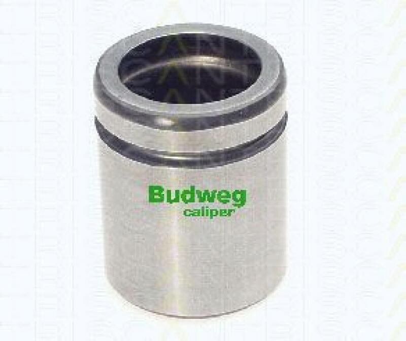 TRISCAN Piston, brake caliper
