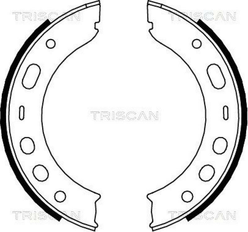 TRISCAN Brake Shoe Set, parking brake