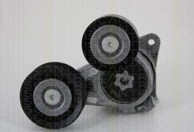TRISCAN Tensioner Lever, v-ribbed belt