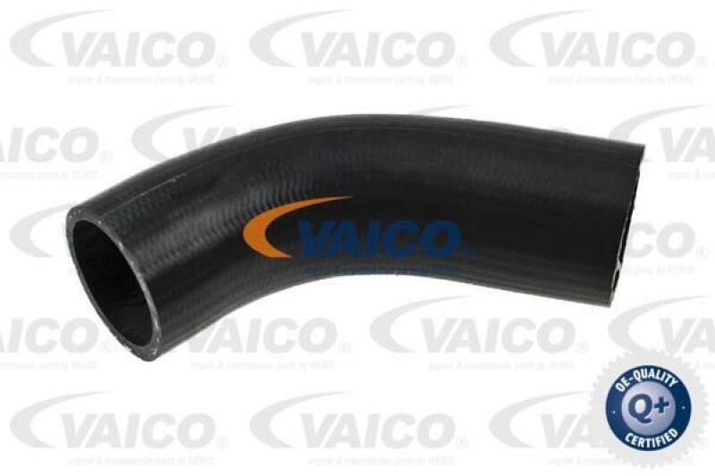 VAICO Charger Air Hose Q+, original equipment manufacturer quality