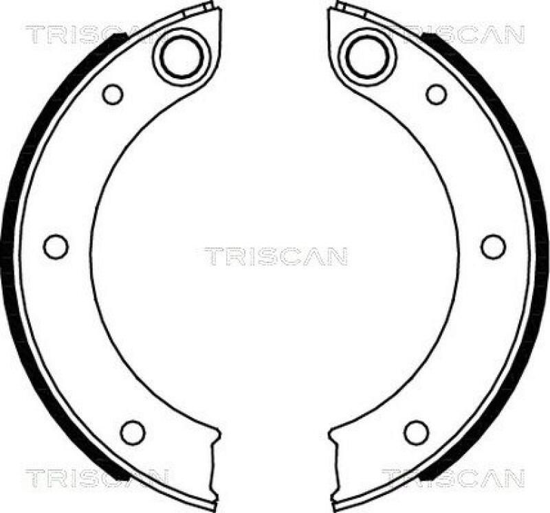 TRISCAN Brake Shoe Set, parking brake
