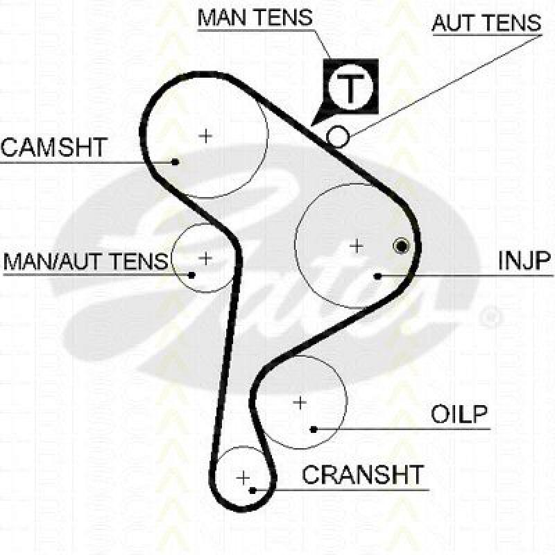 TRISCAN Timing Belt