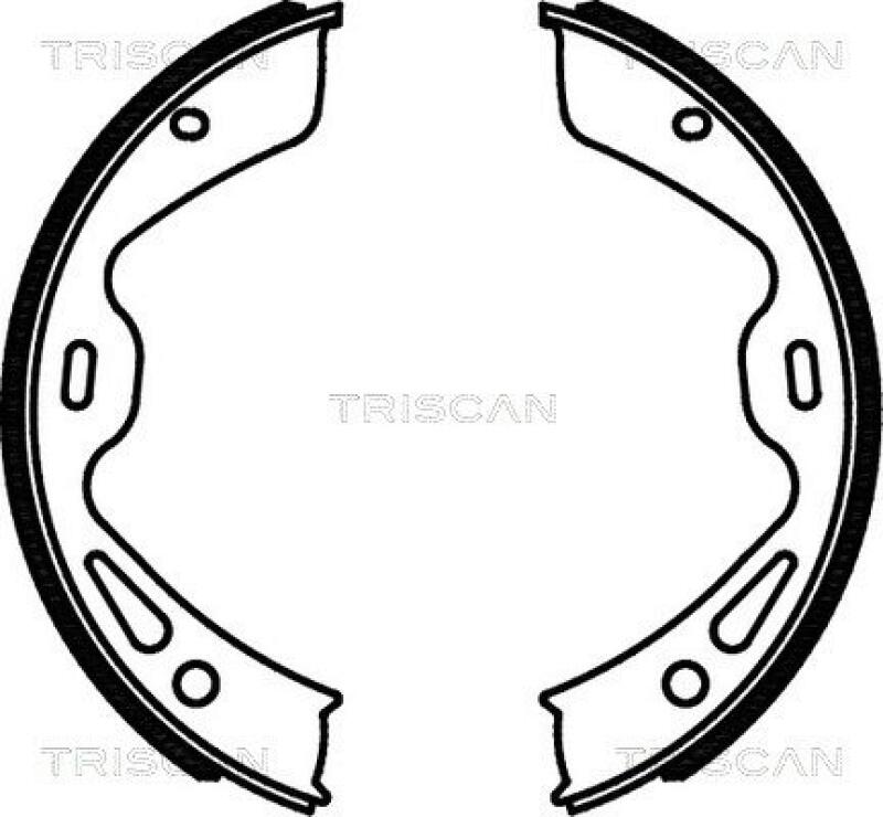 TRISCAN Brake Shoe Set, parking brake