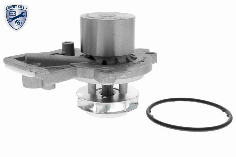 VAICO Wasserpumpe, Motork&uuml;hlung EXPERT KITS + V10-50103